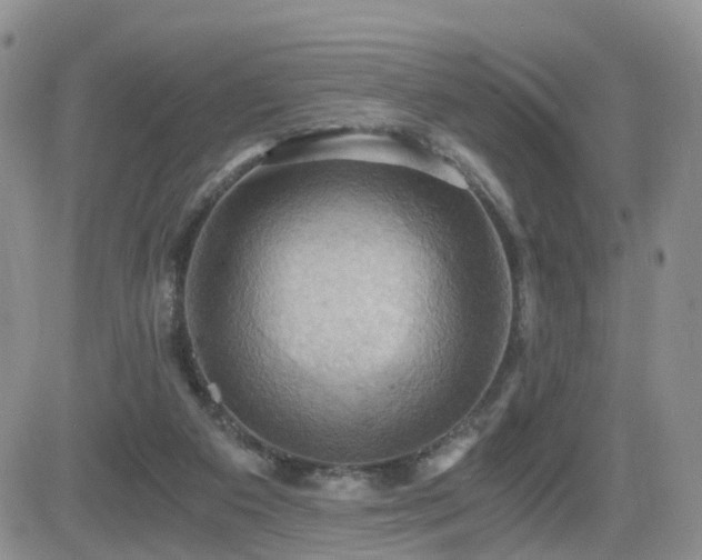 X0000084530113200702231211