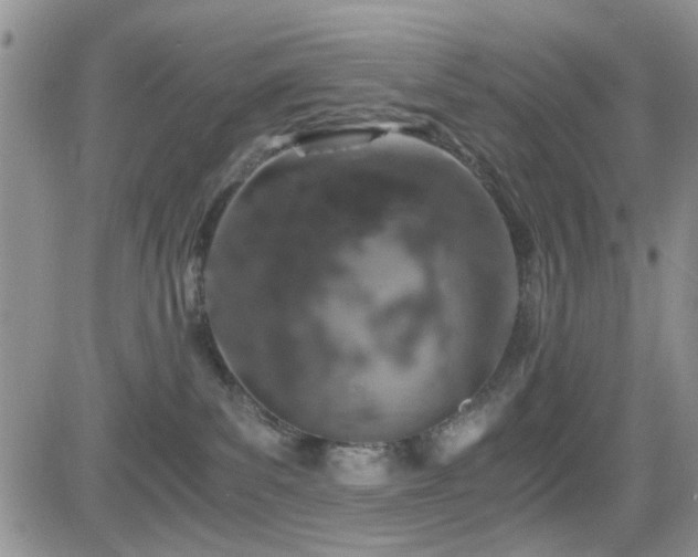 X0000084530139200702231211