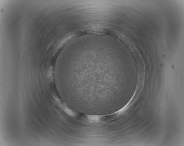 X0000084530144200702231211