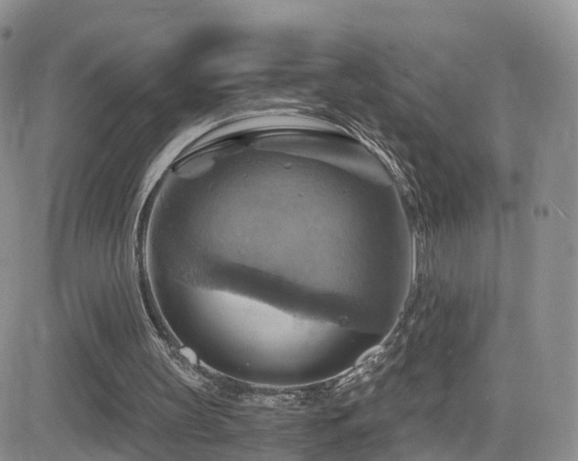 X0000084530147200702231210