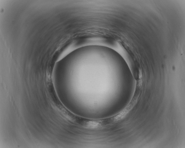 X0000084530176200702231210