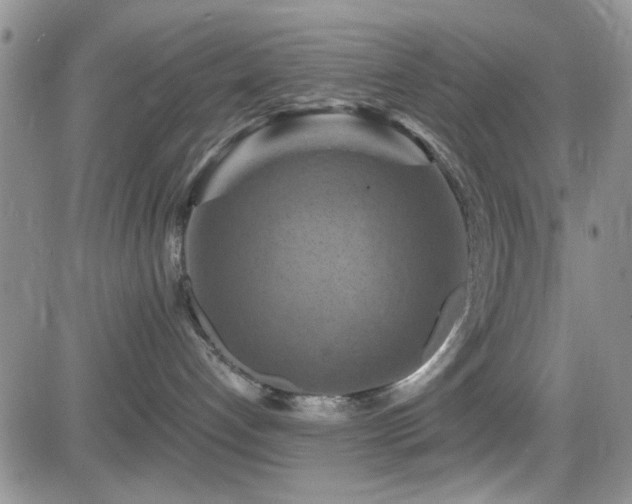 X0000084530192200702231211