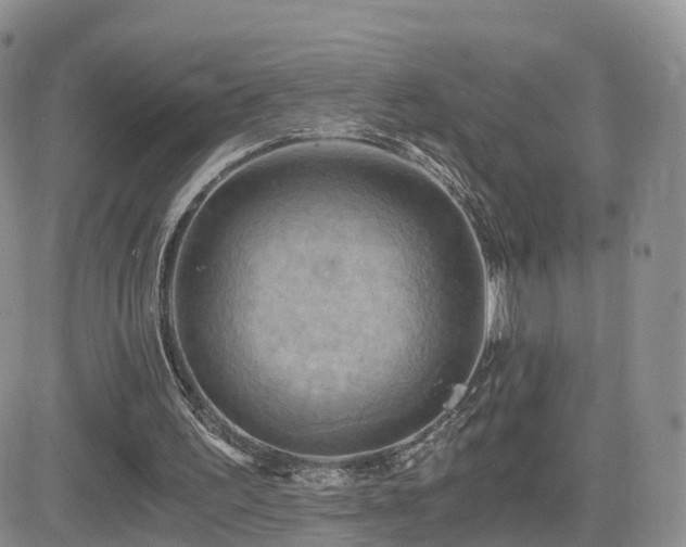 X0000084530195200702231210