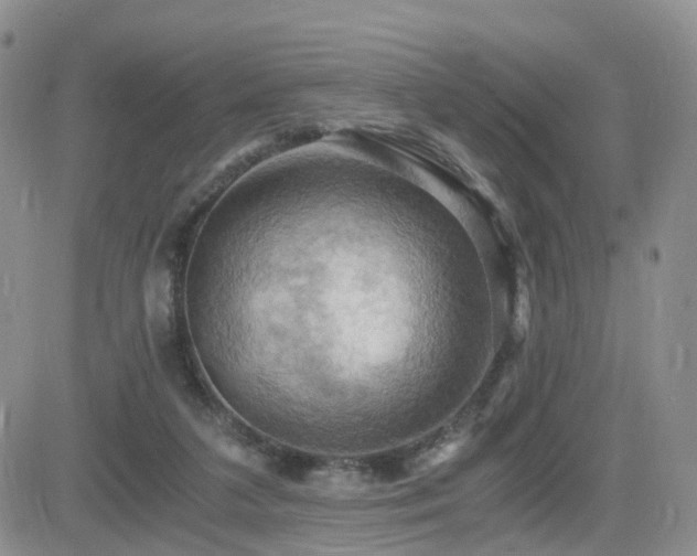 X0000084530211200702231209