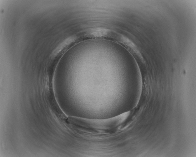 X0000084530212200702231209