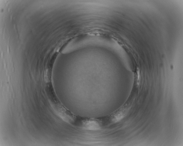 X0000084530224200702231209
