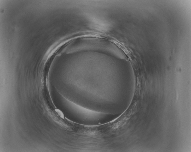 X0000084530247200702231208