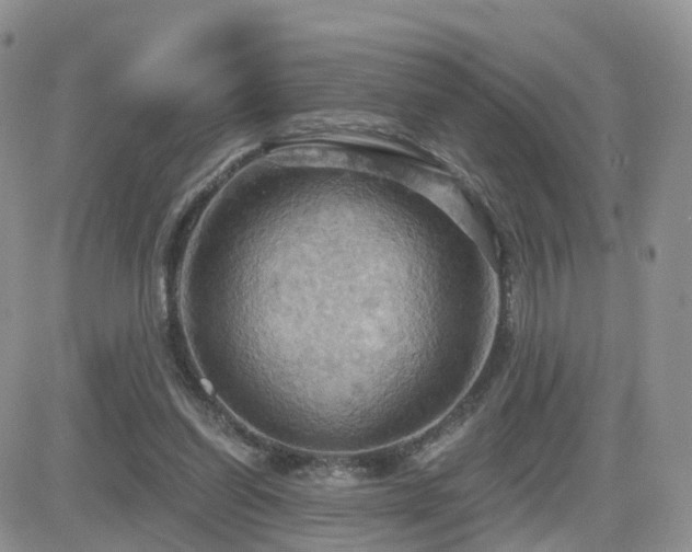 X0000084530254200702231208