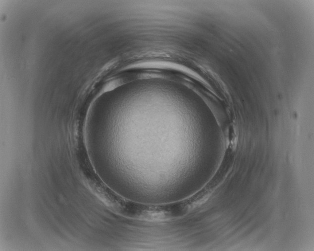 X0000084530260200702231208
