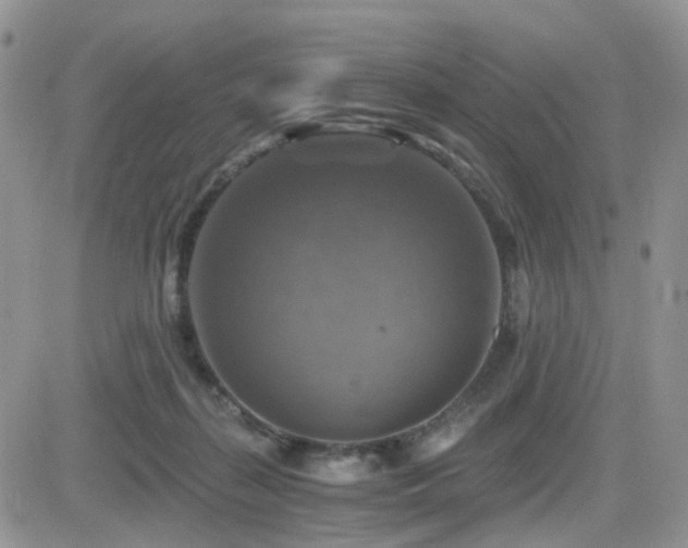 X0000084530267200702231209