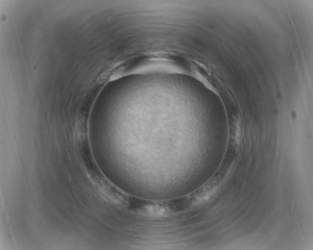 X0000084530272200702231209