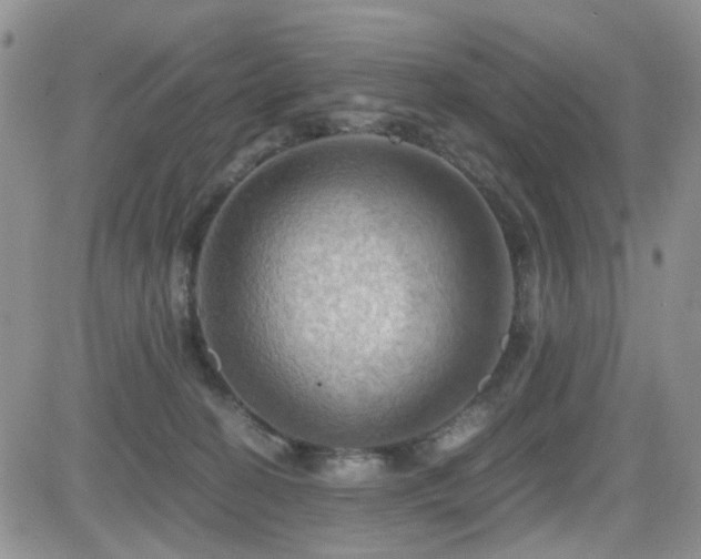 X0000084530274200702231209