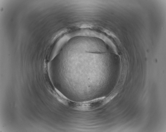 X0000084530288200702231209