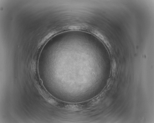 X0000084530297200702231208