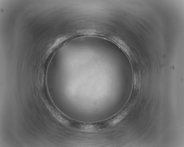 X0000084530301200702231208