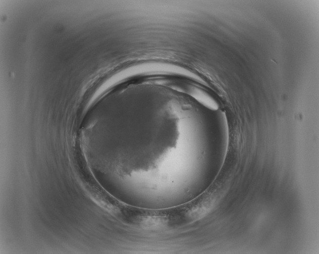 X0000084530303200702231208