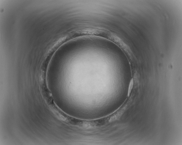 X0000084530305200702231208