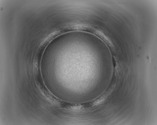 X0000084530306200702231208