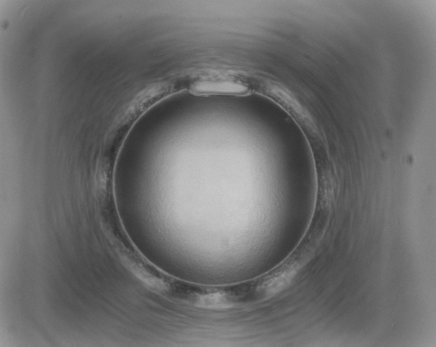 X0000084530309200702231208