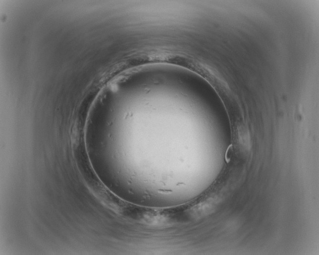 X0000084530311200702231208