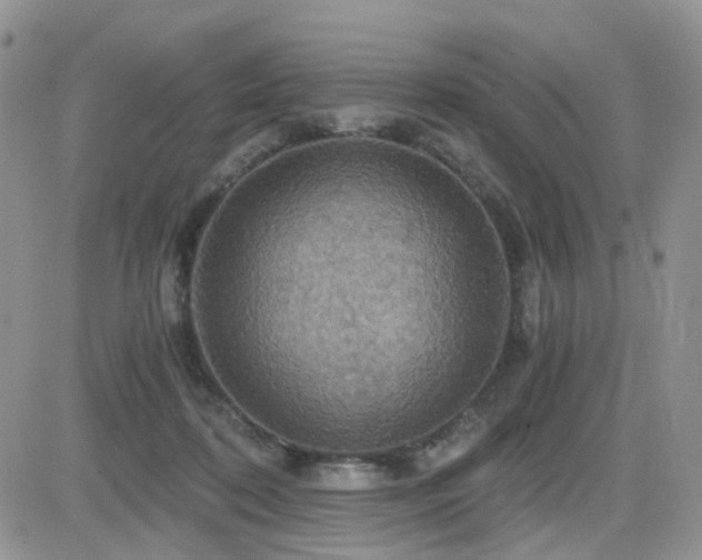 X0000084530316200702231208