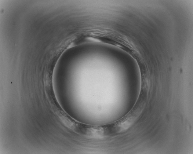 X0000084530317200702231208