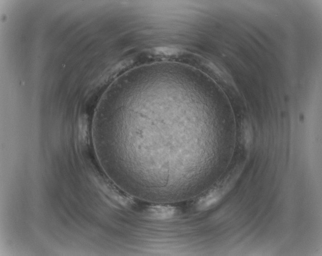 X0000084530328200702231207