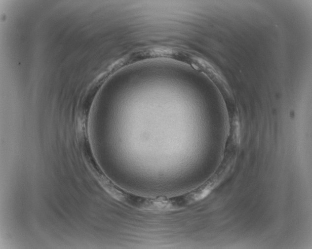 X0000084530329200702231207
