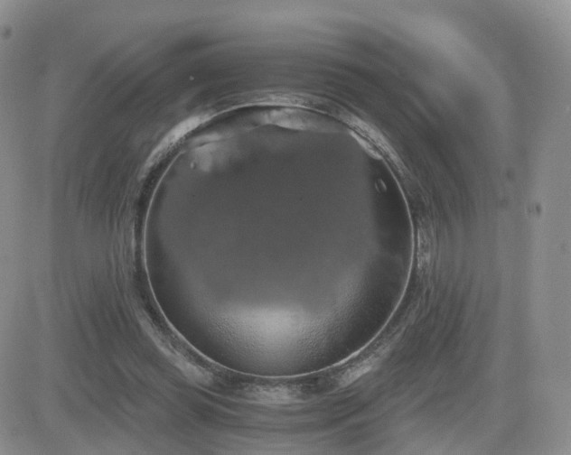 X0000084530349200702231207