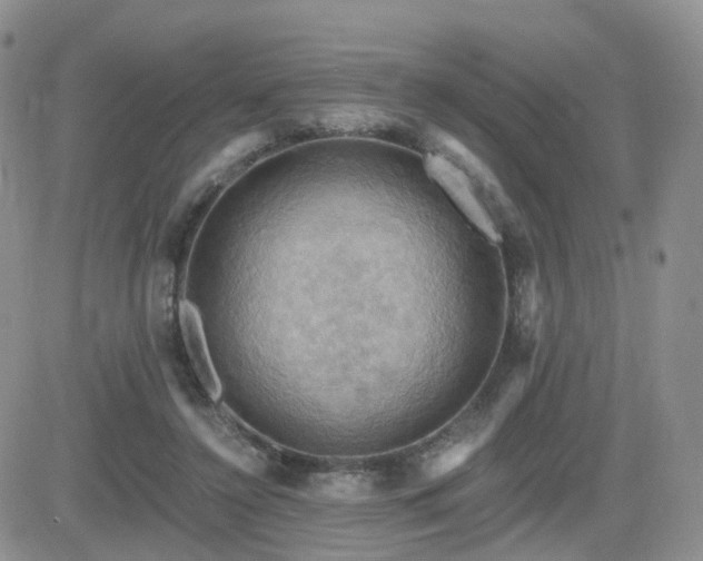 X0000084530356200702231207