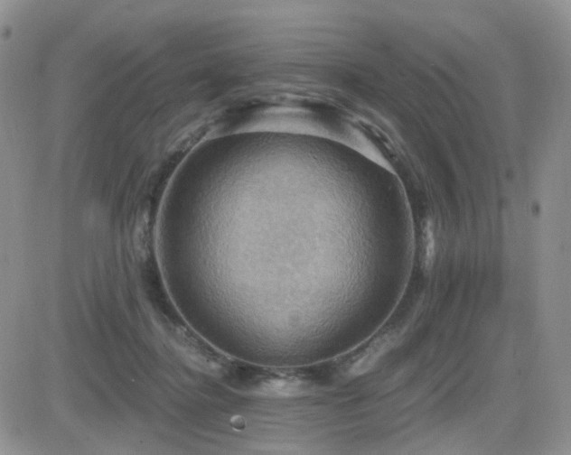 X0000084530364200702231207
