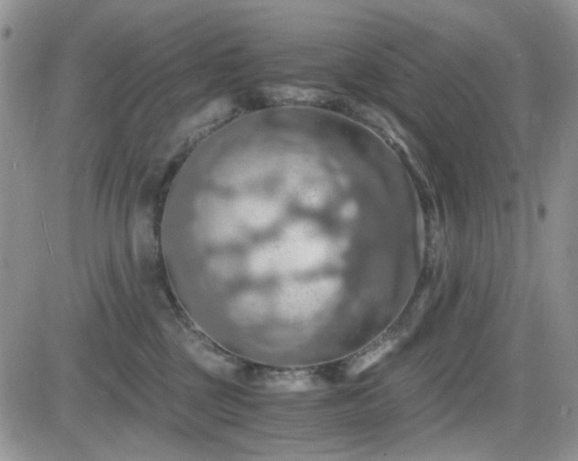 X0000084530377200702231207