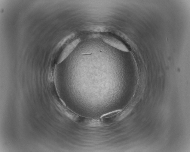 X0000084530384200702231207