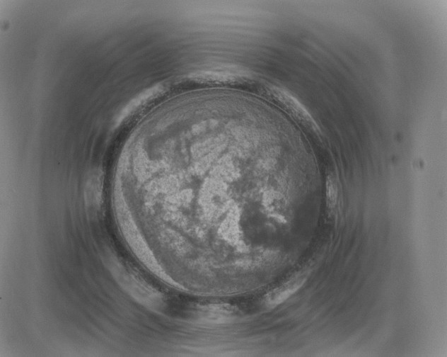 X0000084530396200702231206