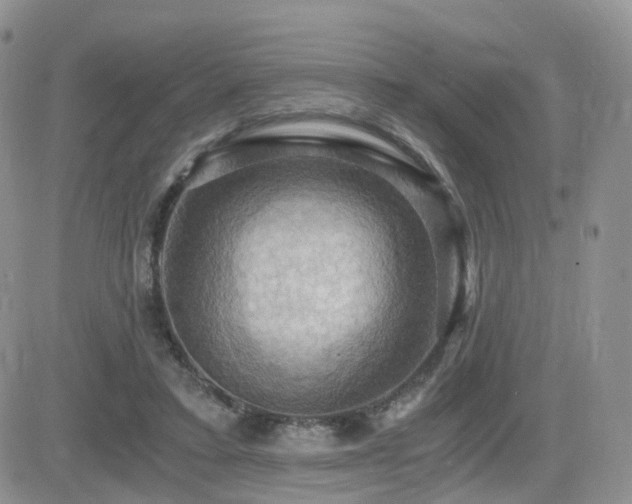 X0000084530403200702231206