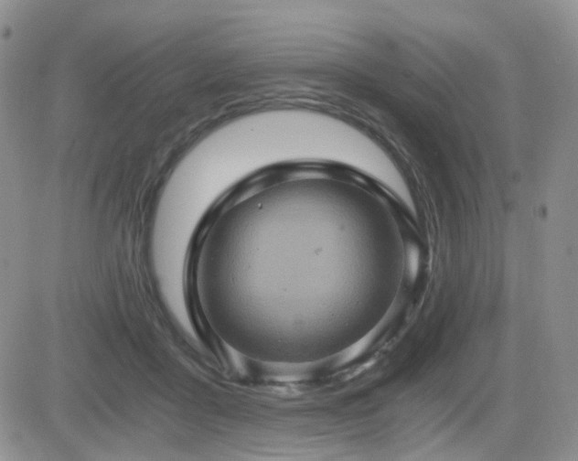 X0000084530411200702231206