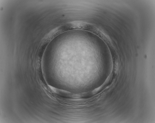 X0000084530413200702231206
