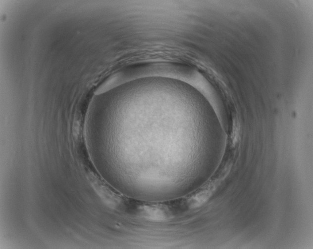 X0000084530417200702231206