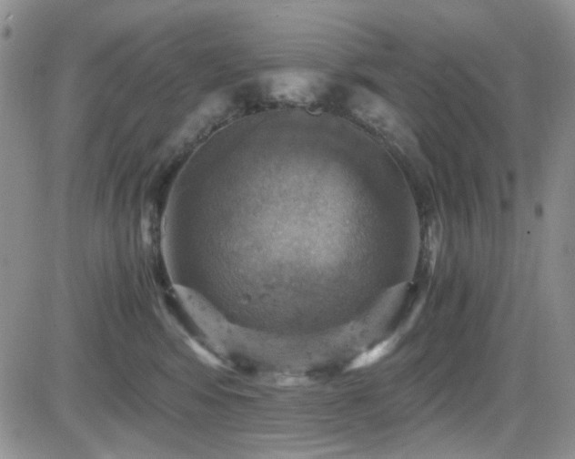 X0000084530424200702231206