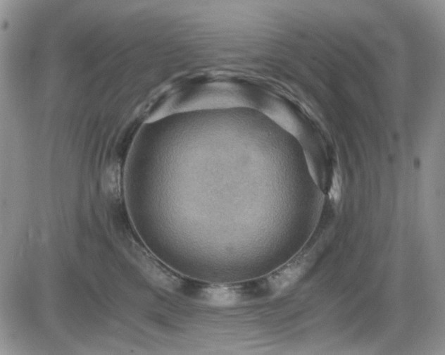 X0000084530425200702231206