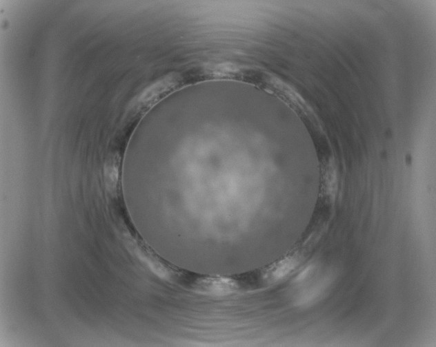 X0000084530427200702231206