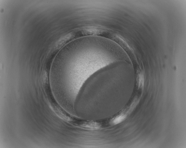 X0000084530459200702231205