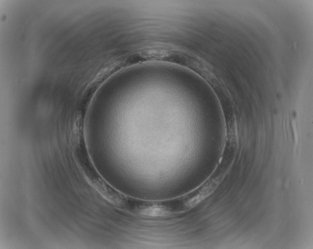 X0000084530460200702231205
