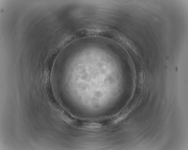 X0000084530463200702231205