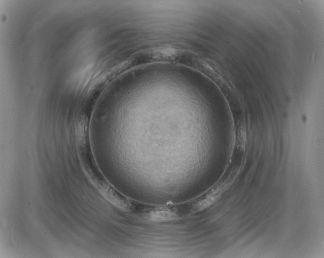 X0000084530468200702231206