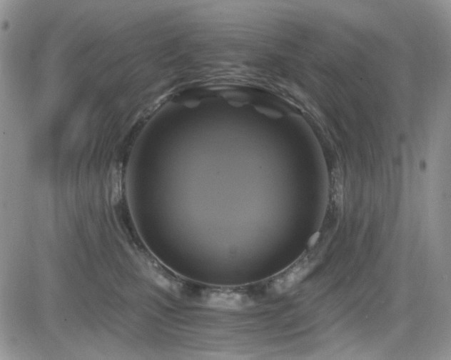 X0000084530471200702231206