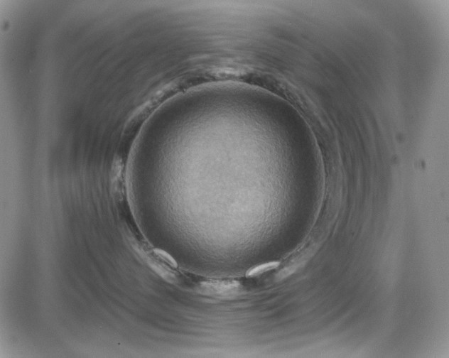 X0000084530480200702231206