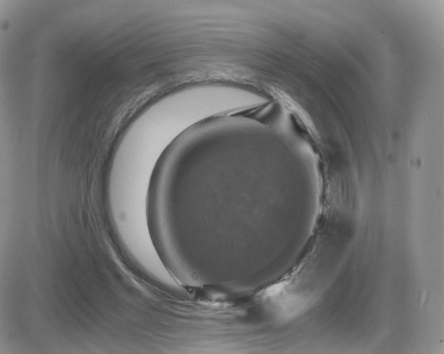 X0000084530493200702231205