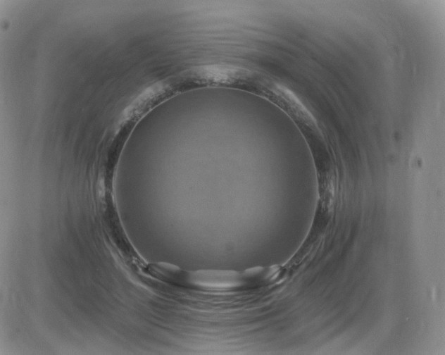 X0000084530500200702231205