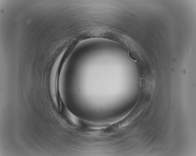 X0000084530505200702231204